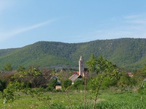 Cserkút a Jakab-hegy tővében