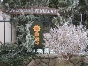 Zuzmara